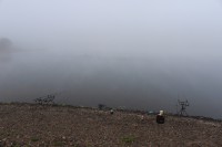 /album/photogallery/img-8294-jpg/